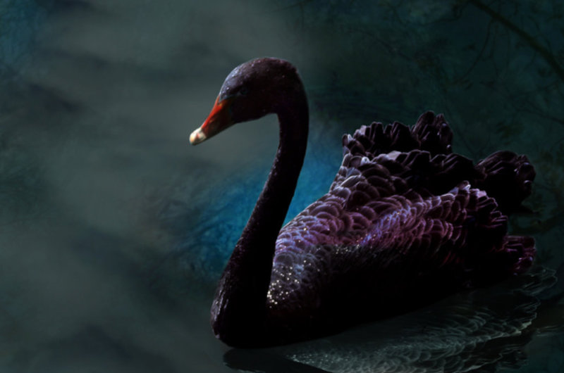 4 dunkle Wesen und ihre stille Liebe