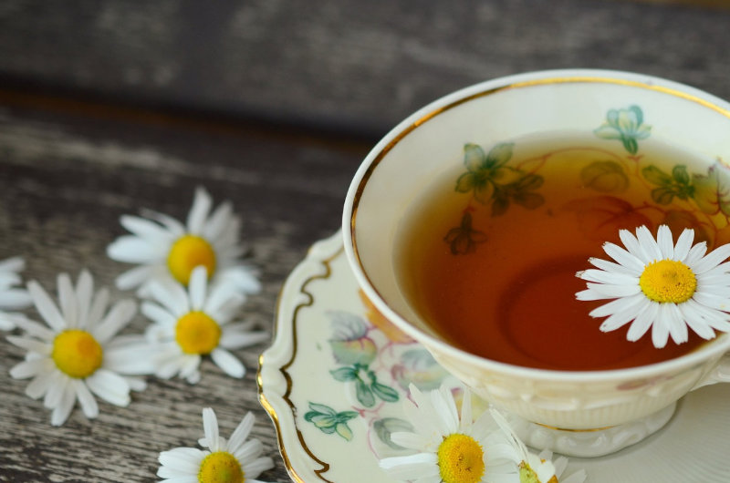 Krankheit als Weg der Seele – Schamanische Perspektiven auf Heilung und Gesundheit