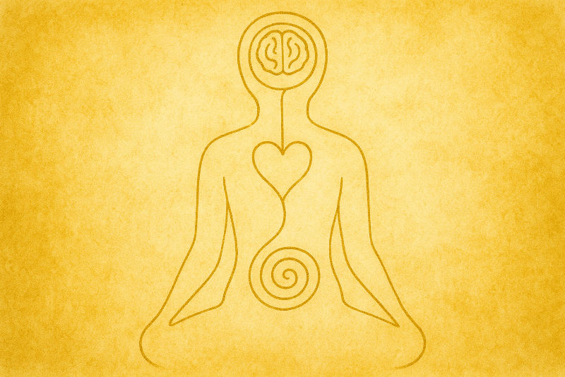 Goldene One-Line-Illustration einer sitzenden Figur in Meditationshaltung. Kopf, Herz und Bauch sind durch Linien verbunden: das Gehirn steht für den Verstand, das Herz für Gefühl und Stimmigkeit, die Spirale im Bauch für innere Kraft. Symbol für Balance, Selbstliebe und die Zusammenarbeit von Verstand und Gefühl im Herzraum.