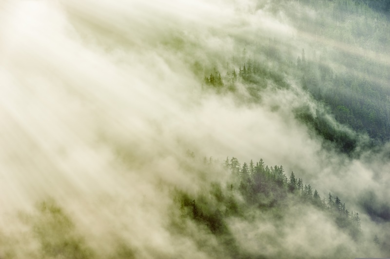 Zwischen Licht und Schatten – Eine Abgrenzung zwischen Spiritualität und brauner Esoterik