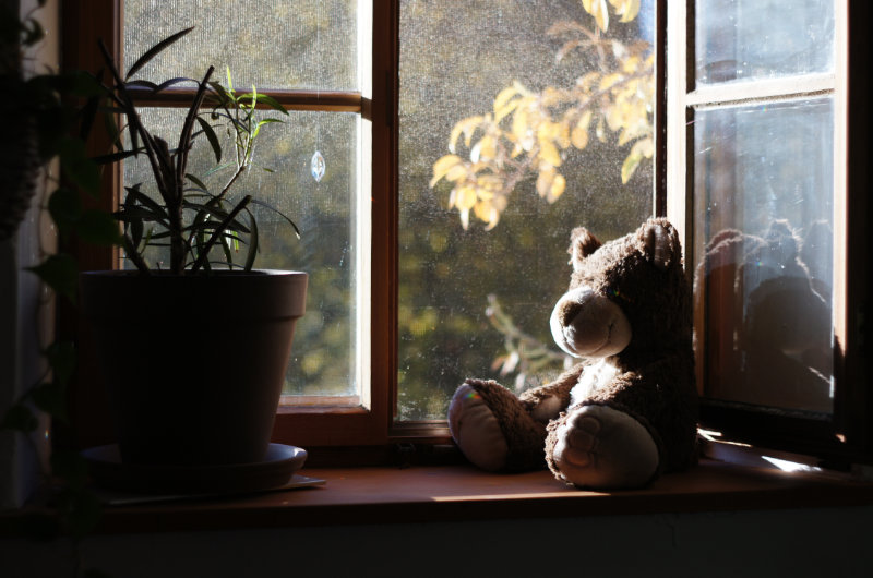Brauner Teddy sitzt im warmen Sonnenlicht auf einer Fensterbank neben einer Pflanze – Symbol für Geborgenheit, innere Ruhe und liebevolle Verbundenheit mit dem Leben.