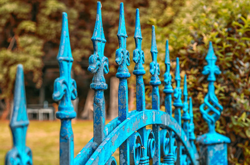 Schutz oder nicht Schutz – das ist hier die Frage