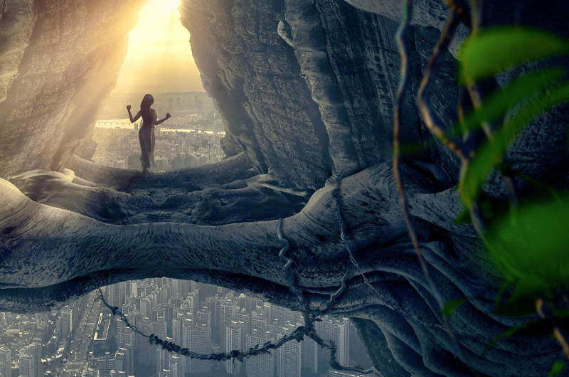 Der Jahreskreis – im Rhythmus der Natur leben