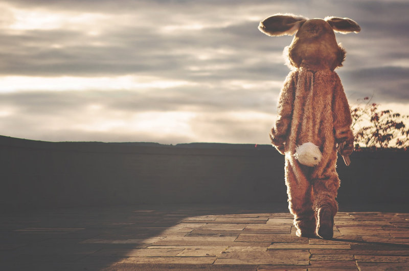 Die Kunst des Albernseins – eine Einladung des Universums