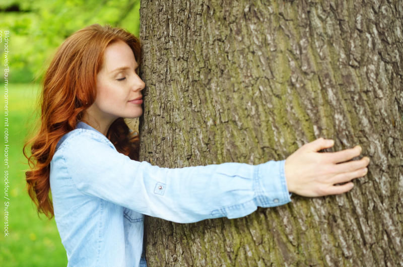 Pflanzengeister & ihre seelische Kraft – Aurasprays, Rituale und liebevolle Verbindung