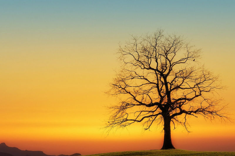 Die Energie von Samhain