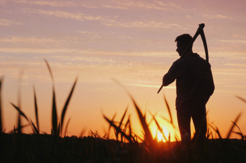 Silhouette eines Mannes mit Sense bei Sonnenuntergang auf einem Feld – symbolische Darstellung von Vater Tod zu Samhain als kraftvoller Begleiter im Übergang.