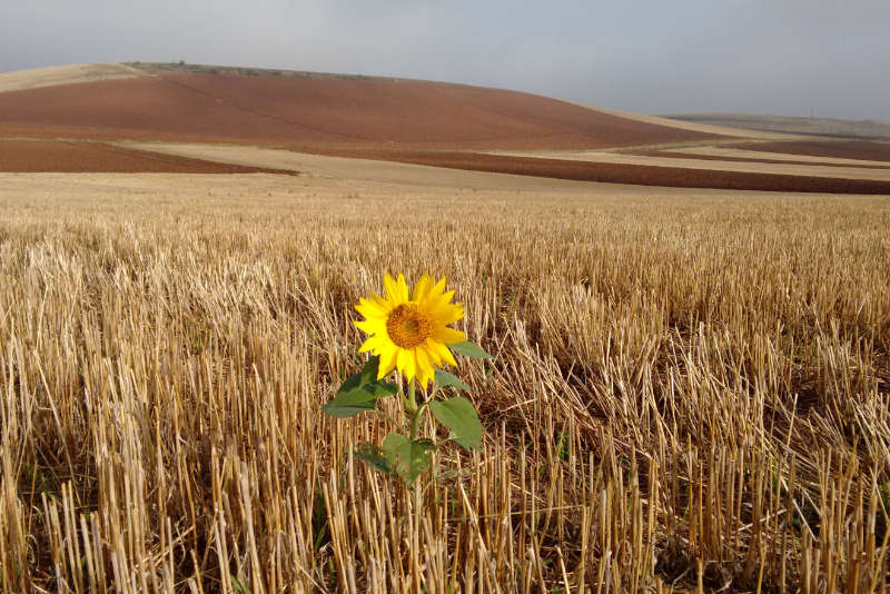 Magisches Denken oder Magie des Seins?