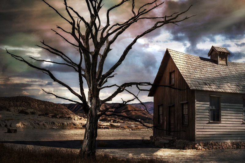 Ein knorriger, abgestorbener Baum steht neben einem alten Holzhaus in einer kargen Landschaft. Dramatische Lichtstrahlen brechen durch dunkle Wolken und tauchen die Szene in mystisches Licht – Symbol für Wandel, Vergänglichkeit und stille Präsenz.