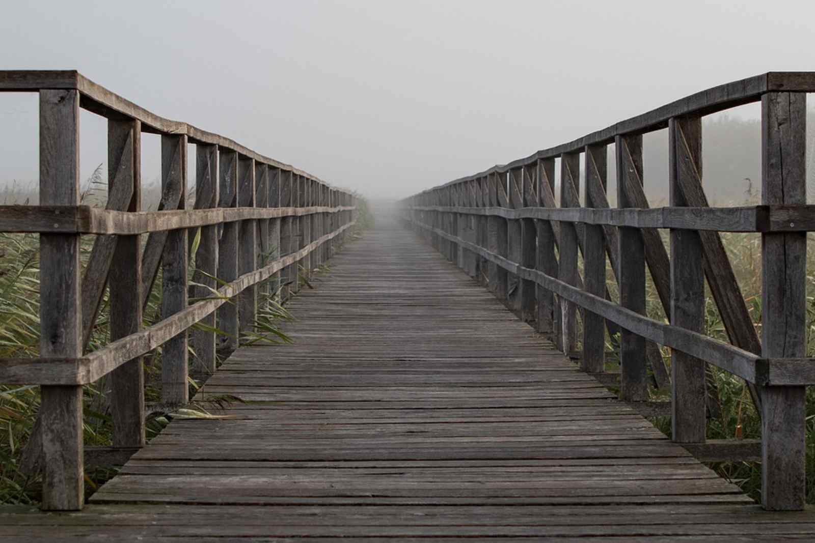 Wenn viele wanken: Spirituelle Krisen sind auch gesellschaftlich