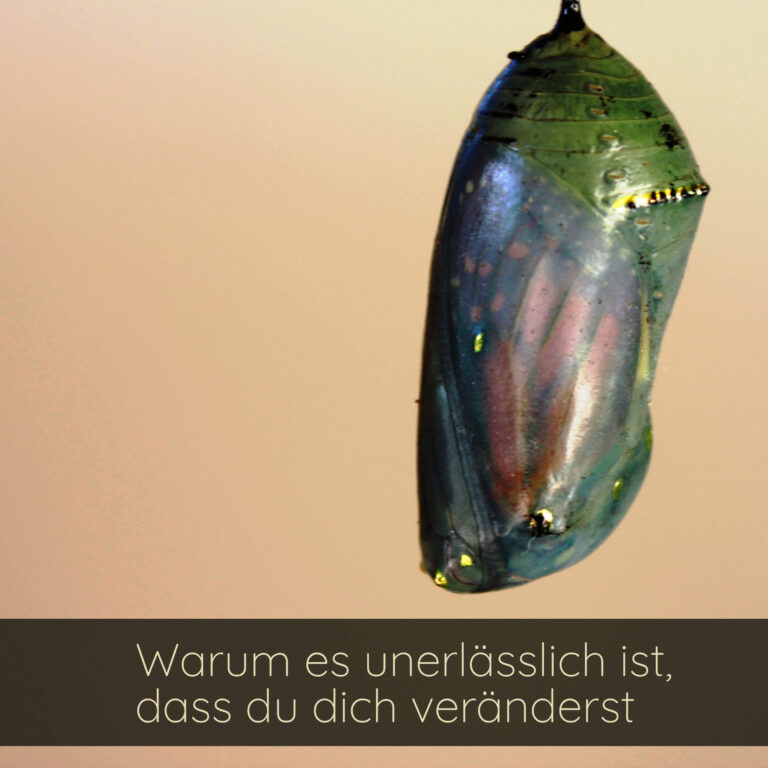 Warum es unerlässlich ist, dass du dich veränderst
