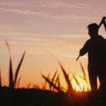 Silhouette eines jungen Mannes mit Sense über der Schulter vor einem goldenen Sonnenuntergang über einem Feld