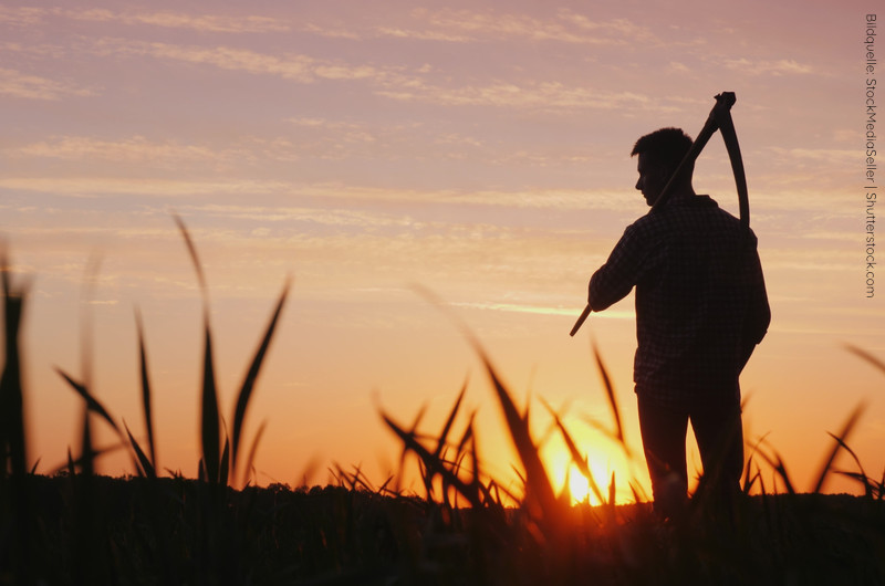 Silhouette eines jungen Mannes mit Sense über der Schulter vor einem goldenen Sonnenuntergang über einem Feld